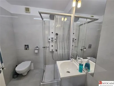 Apartament spatios cu vedere catre parcul Herastrau - foto 13