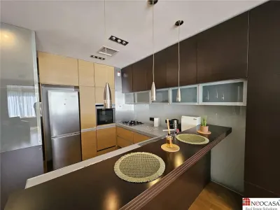 Apartament spatios cu vedere catre parcul Herastrau - foto 7