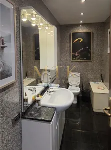 Vila Premium in Dorobanti | 5 camere | renovata integral - foto 14