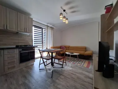 Apartament 2 camere Popas Pacurari Valea Lupului, mobilat complet, parcare inclusa - foto 8