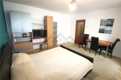 Apartament 1 camera , centrala proprie , zona centrala - foto 3