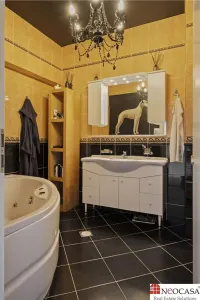 PTA CHARLES DE GAULLE, PENTHOUSE ET 4+5, 390 MP, GARAJ, BOXA! - foto 25