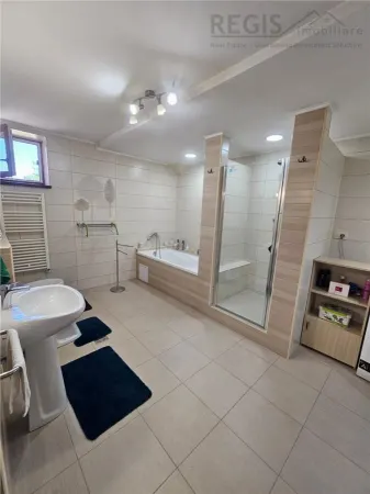 Spațiu comercial Brașov - poza 19