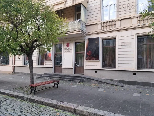 Spațiu comercial Brăila - poza 3