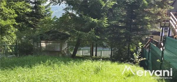 Teren Sinaia - poza 1