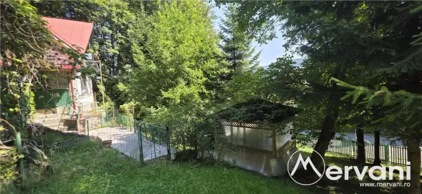 Teren Sinaia - poza 2