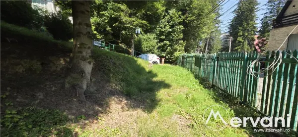Teren Sinaia - poza 3