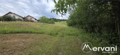 Teren de vanzare in Campina, Muscel - foto 2