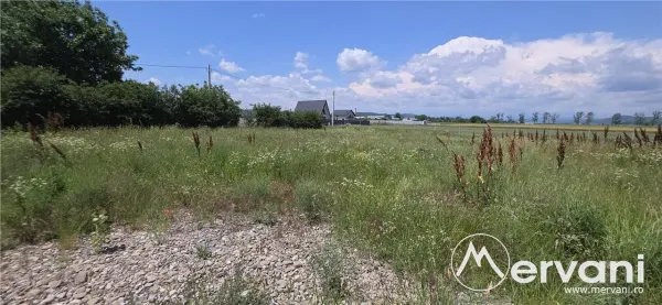 Spațiu industrial Florești - poza 6