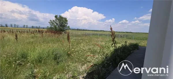 Spațiu industrial Florești - poza 7