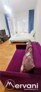 Apartament 1 camera Sinaia - poza 2