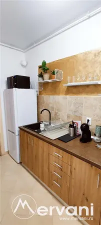 Apartament 1 camera Sinaia - poza 4