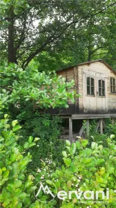 Teren intravilan 4000 mp in Breaza, Nistoresti - foto 2