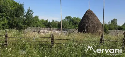 Teren 3026 de vanzare in Brebu - foto 3