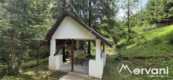 Hotel/Pensiune Valea Doftanei - poza 45