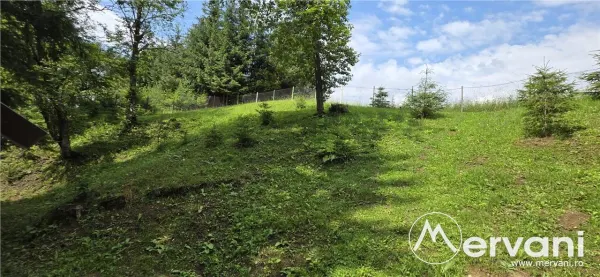 Hotel/Pensiune Valea Doftanei - poza 46