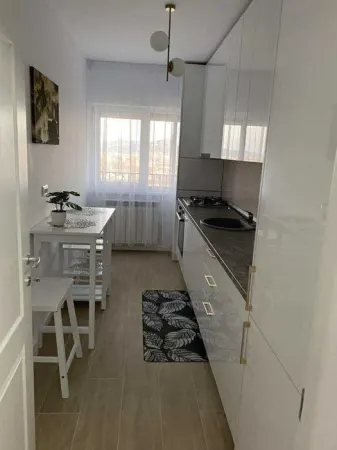 Apartament 1 camera Iași - poza 3