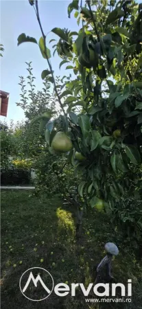Casă 6 camere Banesti - poza 36