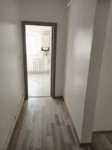 2 CAM MIRCEA CEL BATRAN DECOMANDAT, INTERMEDIAR - foto 5