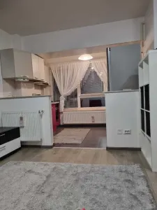 Inchiriere apartament cu 1 camera - Pacurari - foto 2