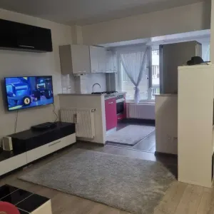 Inchiriere apartament cu 1 camera - Pacurari - foto 6