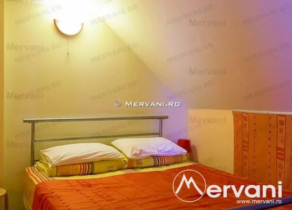 Hotel/Pensiune Predeal - poza 3