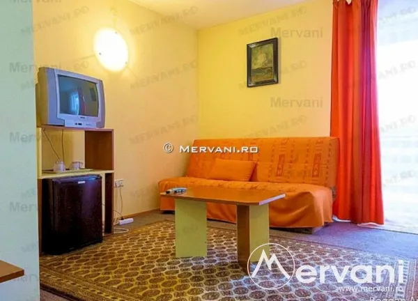 Hotel/Pensiune Predeal - poza 6