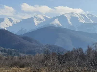 Teren 2500mp  pe Valea Avrigului,optim casa de vacanta - foto 12