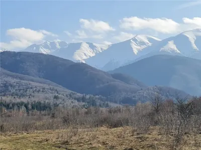 Teren 2500mp  pe Valea Avrigului,optim casa de vacanta - foto 13