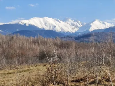Teren 2500mp  pe Valea Avrigului,optim casa de vacanta - foto 14