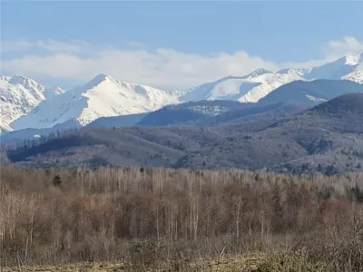 Teren 2500mp  pe Valea Avrigului,optim casa de vacanta - foto 3