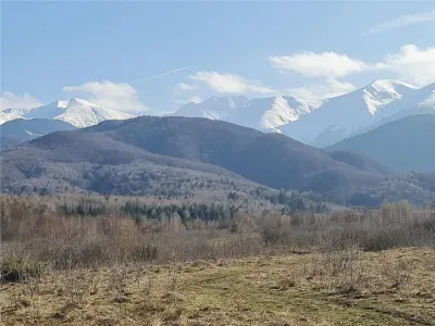 Teren 2500mp  pe Valea Avrigului,optim casa de vacanta - foto 4