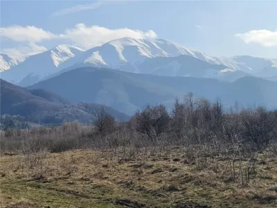 Teren 2500mp  pe Valea Avrigului,optim casa de vacanta - foto 5