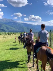 Teren 2500mp  pe Valea Avrigului,optim casa de vacanta - foto 6