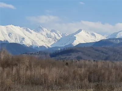 Teren 2500mp  pe Valea Avrigului,optim casa de vacanta - foto 7