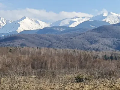 Teren 2500mp  pe Valea Avrigului,optim casa de vacanta - foto 9