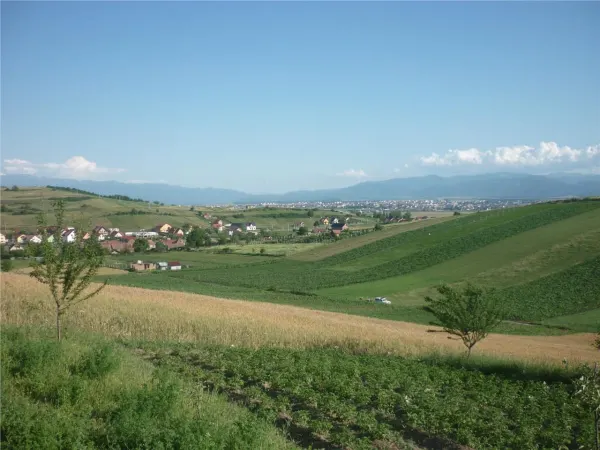 Teren Șura Mare - poza 1