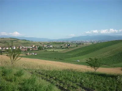 Teren 5000mp cu livada in Sura Mare - panorama deosebita - foto 1
