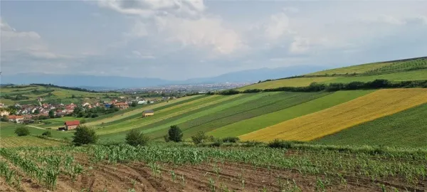 Teren Șura Mare - poza 2