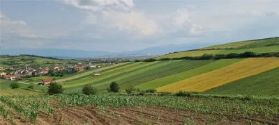 Teren 5000mp cu livada in Sura Mare - panorama deosebita - foto 2