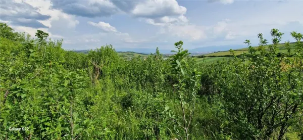 Teren Șura Mare - poza 12