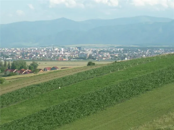 Teren Șura Mare - poza 3