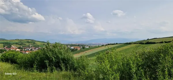Teren Șura Mare - poza 5