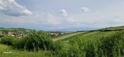 Teren 5000mp cu livada in Sura Mare - panorama deosebita - foto 5
