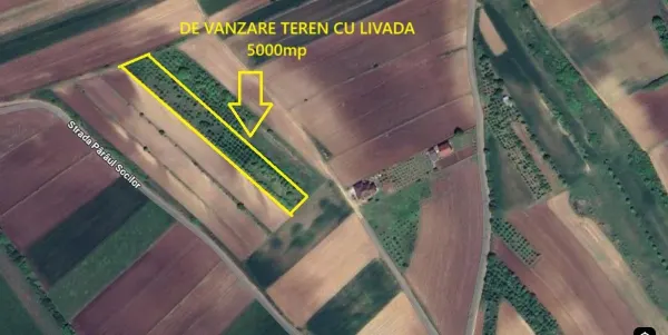Teren Șura Mare - poza 8