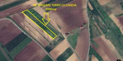 Teren 5000mp cu livada in Sura Mare - panorama deosebita - foto 8