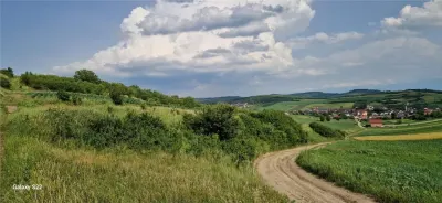 Teren 5000mp cu livada in Sura Mare - panorama deosebita - foto 10