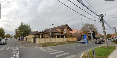 Vilă spațioasă D+P+M zona Terezian,  optima gradinita / sediu firma - foto 2