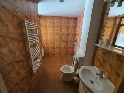Vilă spațioasă D+P+M zona Terezian,  optima gradinita / sediu firma - foto 11