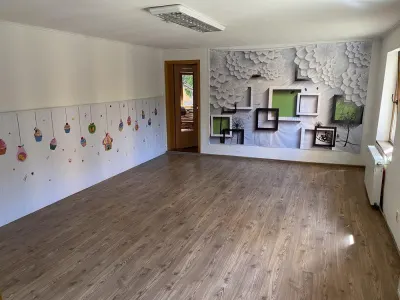 Vilă spațioasă D+P+M zona Terezian,  optima gradinita / sediu firma - foto 13